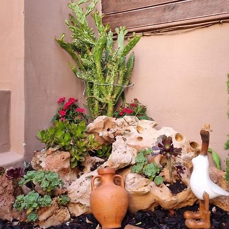 Appartamento Cypress Garden House Gazi Esterno foto
