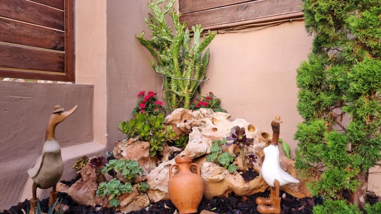 Appartamento Cypress Garden House Gazi Esterno foto